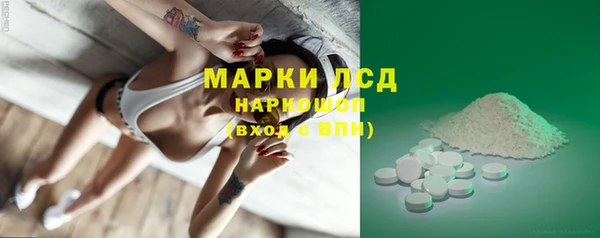 стаф Алексин