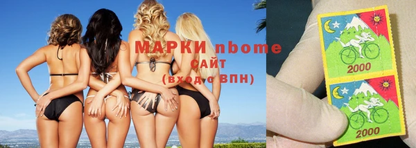 стаф Алексин