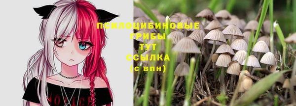 стаф Алексин