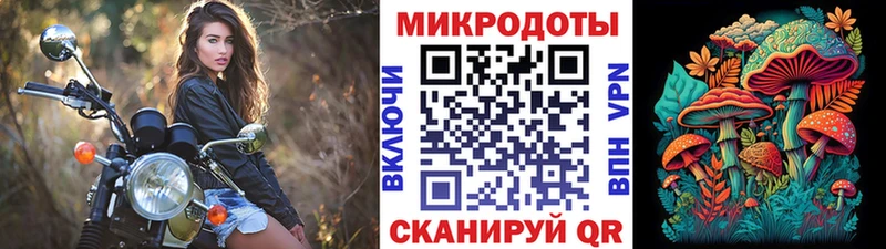 Псилоцибиновые грибы GOLDEN TEACHER  OMG вход  Козловка 
